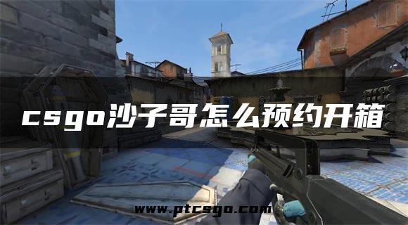 csgo沙子哥怎么预约开箱