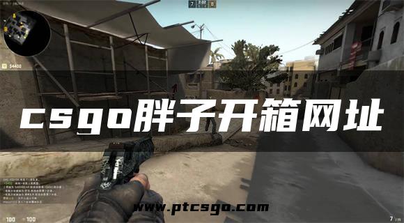 csgo胖子开箱网址