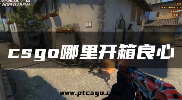 csgo哪里开箱良心