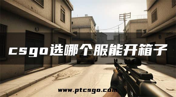 csgo选哪个服能开箱子