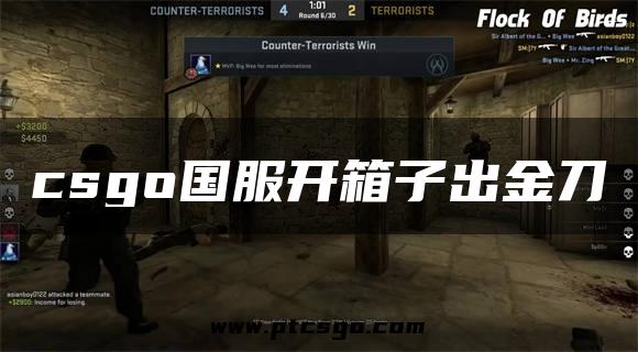 csgo国服开箱子出金刀